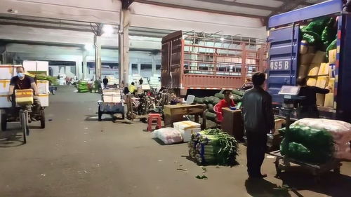 東莞特色商貿(mào)市場之12,莞城細村市場,市區(qū)蔬菜交易集散地